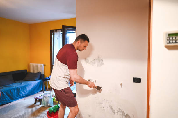 Best Fast Mold Removal  in Rochester, NY